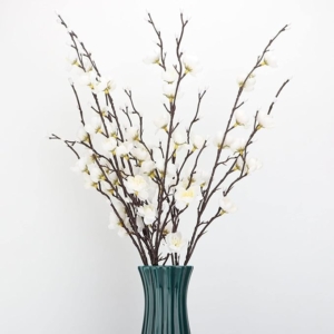 Branches avec fleurs blanches