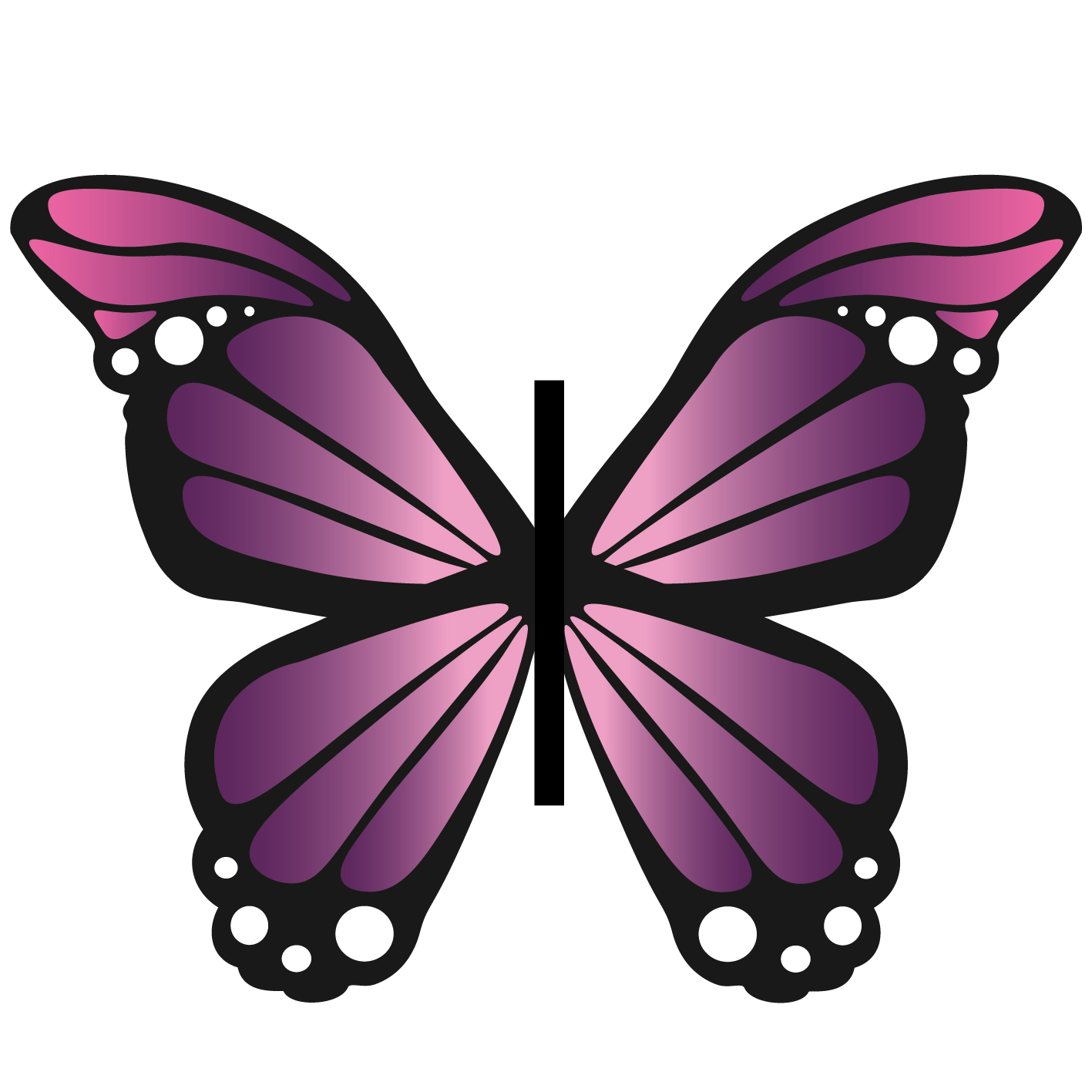 Papillon géant – Image 3