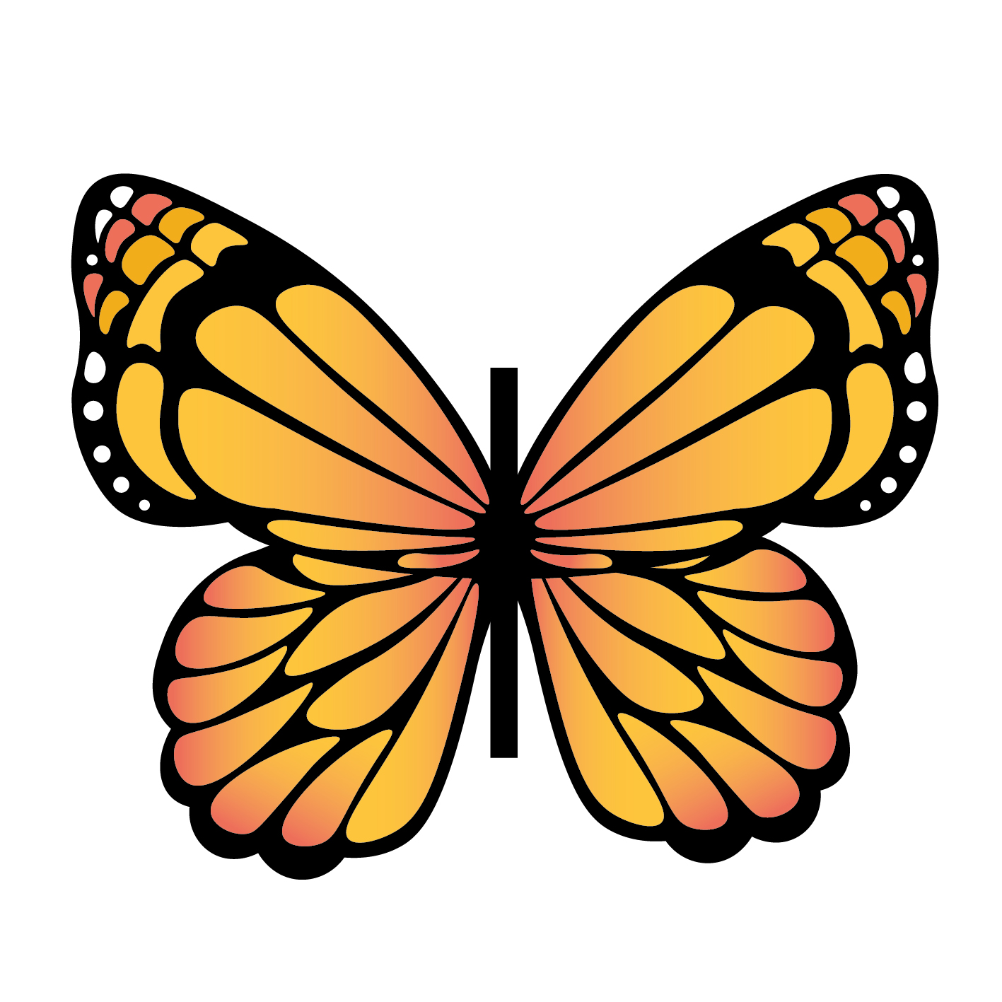 Papillon géant – Image 2
